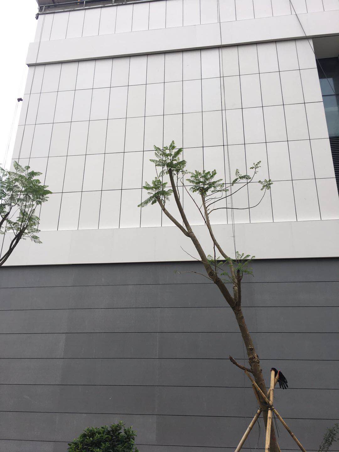 擠塑成型中空水泥掛板的適應性